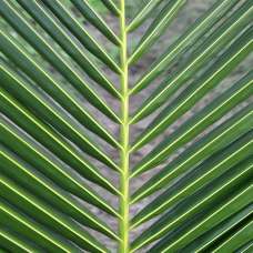 shutterstock_154125191-Methodes shutterstock_154125191-Methodes